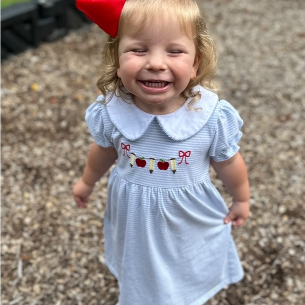 Light Blue Girls' Embroidered Apple Dress with Peter Pan Collar